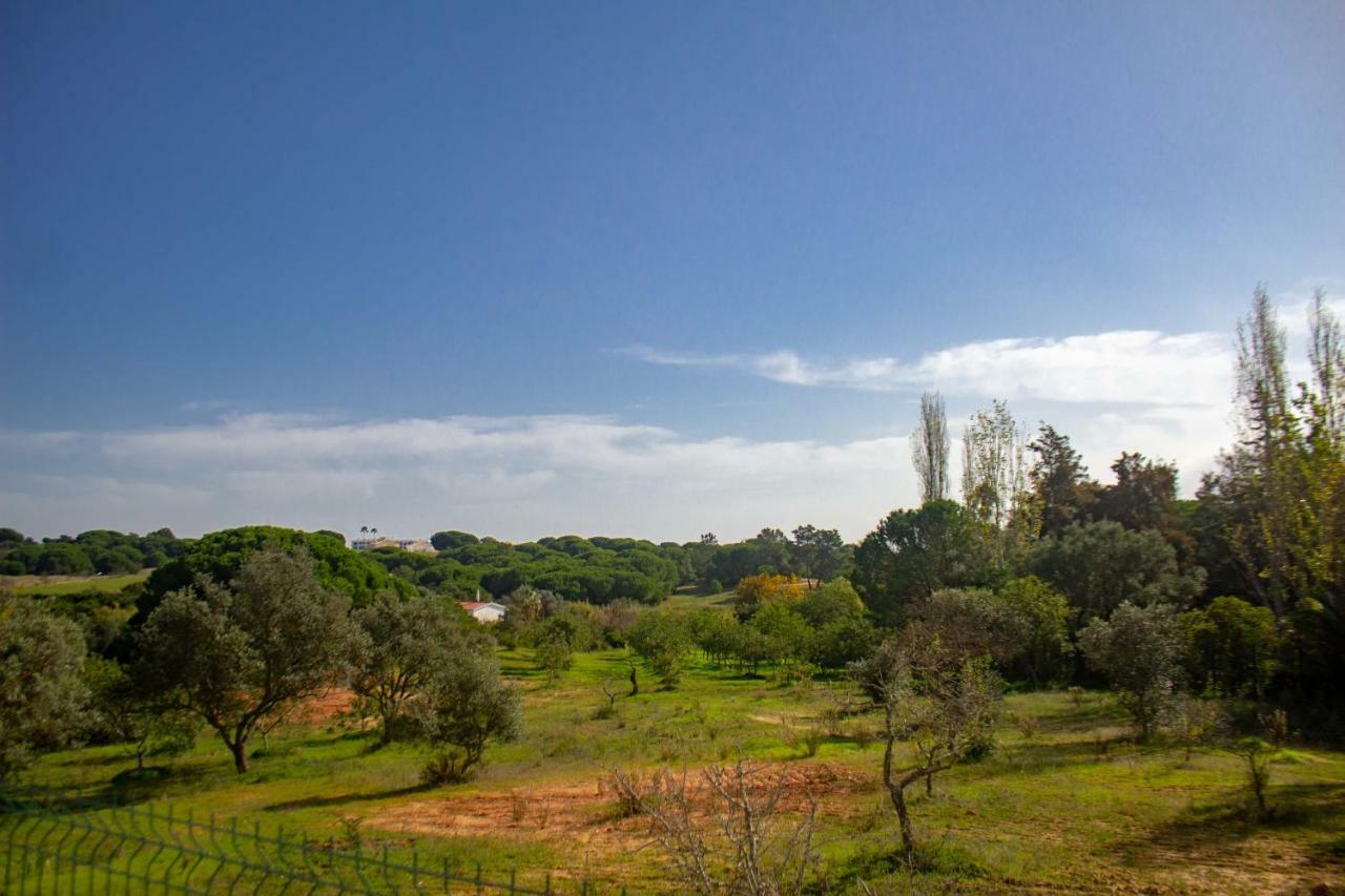 Villa Yvonne,Private Pool,Private Parking 1,7 Km From The Beatch Albufeira Bagian luar foto
